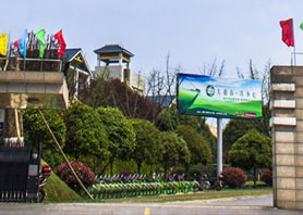 湘豐茶業集團獲評農業產業化國家重點龍頭企業