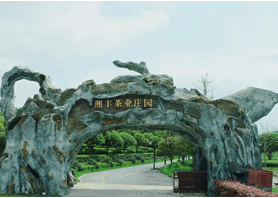 湘豐茶業(yè)獲評湖南農(nóng)業(yè)優(yōu)勢特色產(chǎn)業(yè)30強企業(yè)