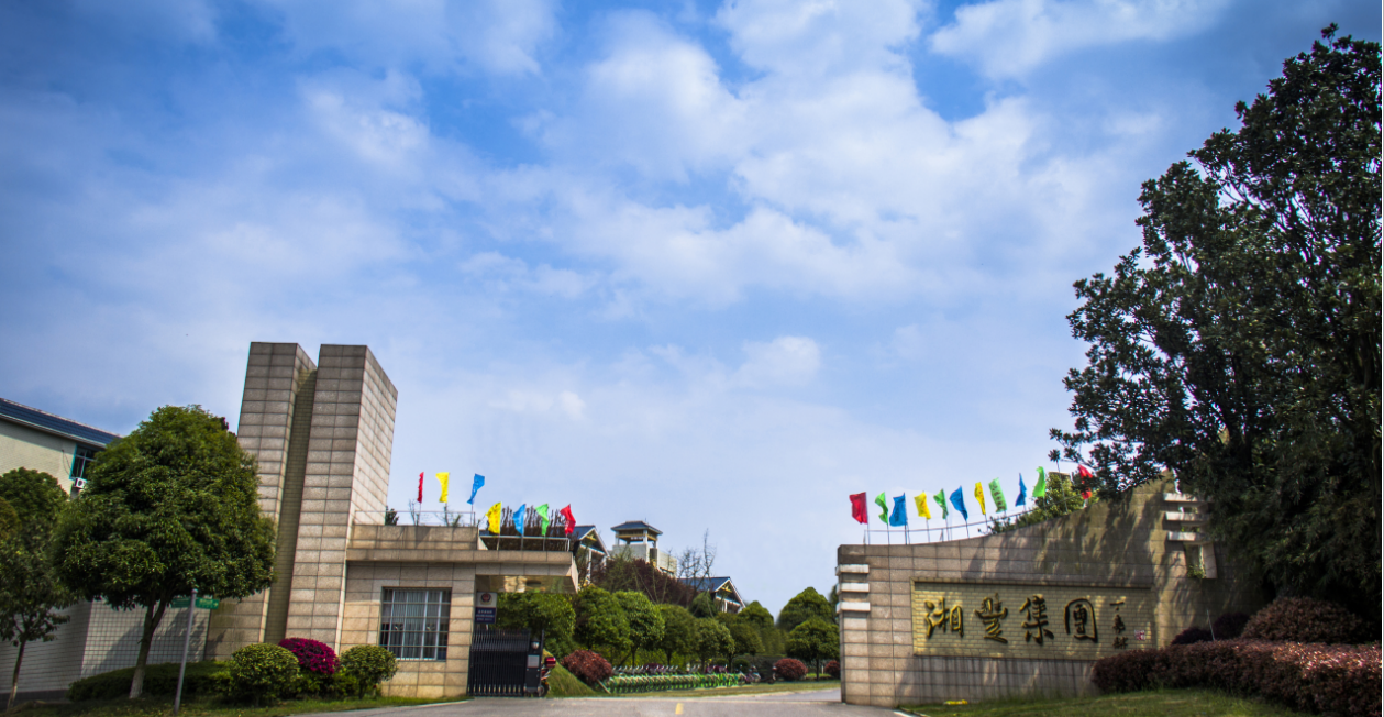 湖南湘豐：做三產融合的“五彩湘茶”產業領跑者