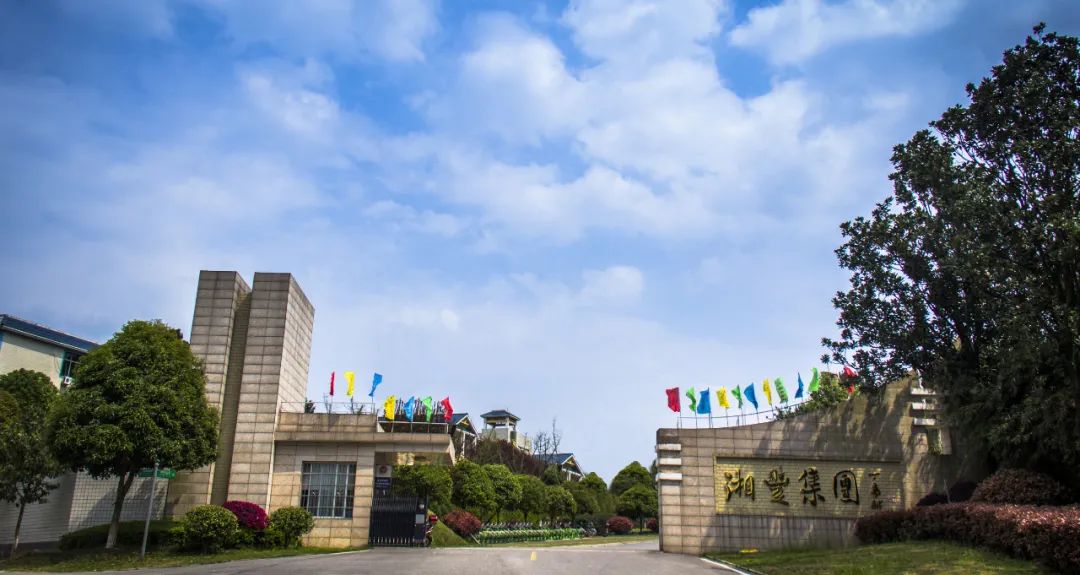 湘豐茶業(yè)集團獲認(rèn)“2023年度農(nóng)業(yè)農(nóng)村信息化示范基地”！