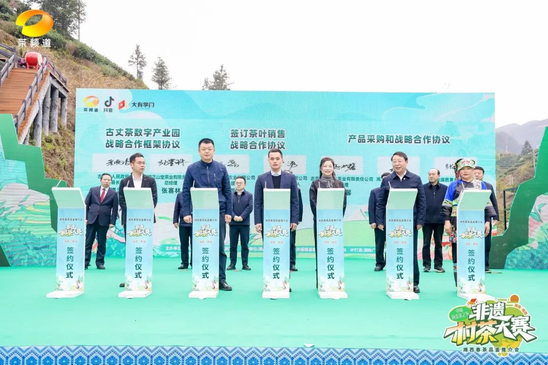 中國黃金茶之鄉(xiāng)·非遺村茶大賽隆重舉行！