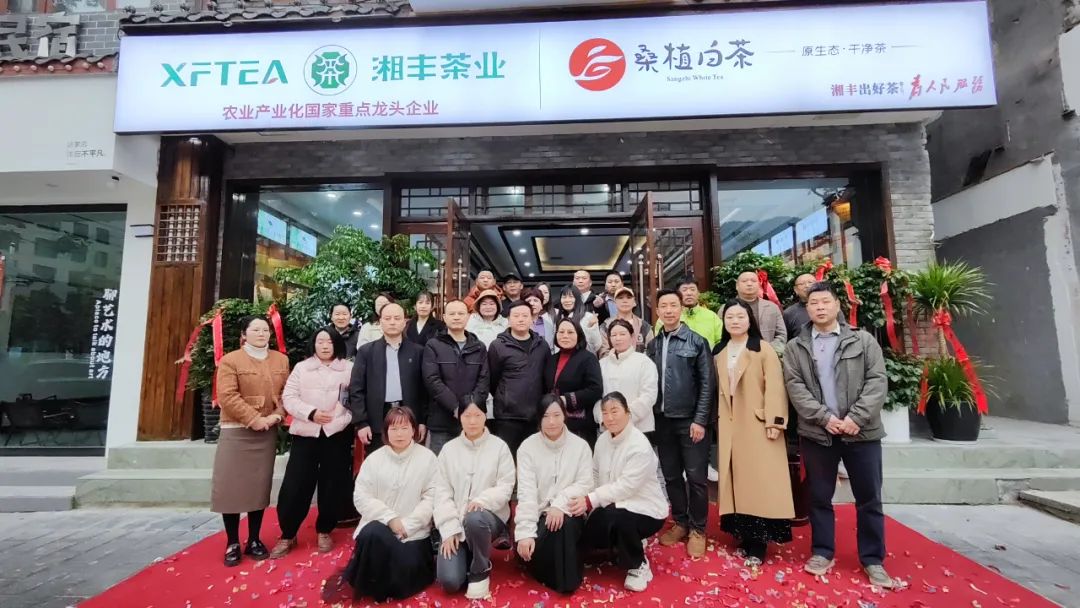 湘豐茶業(yè)·桑植白茶張家界武陵源旗艦店盛大開業(yè)！