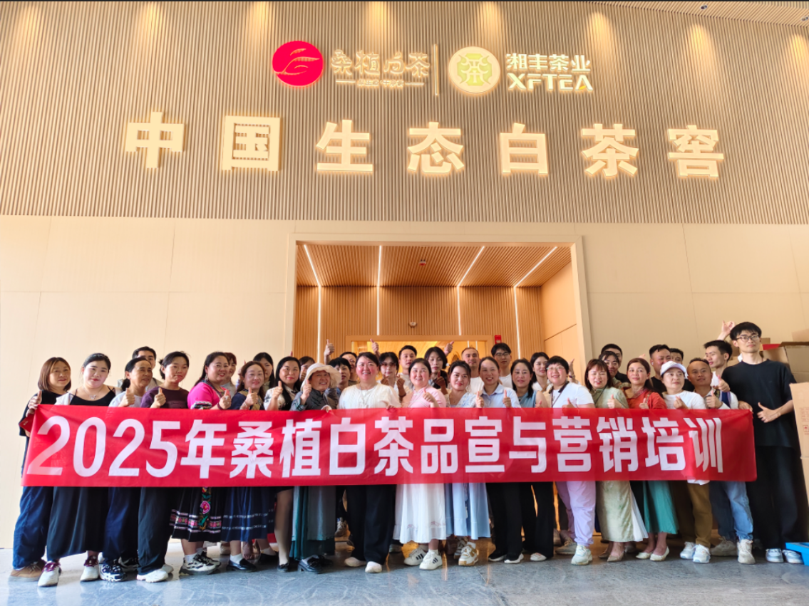 茶香賦能，紅色傳承丨湘豐桑植白茶品宣與營銷培訓（第三期）